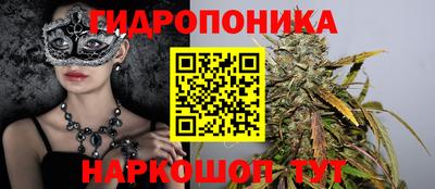дмт Можга