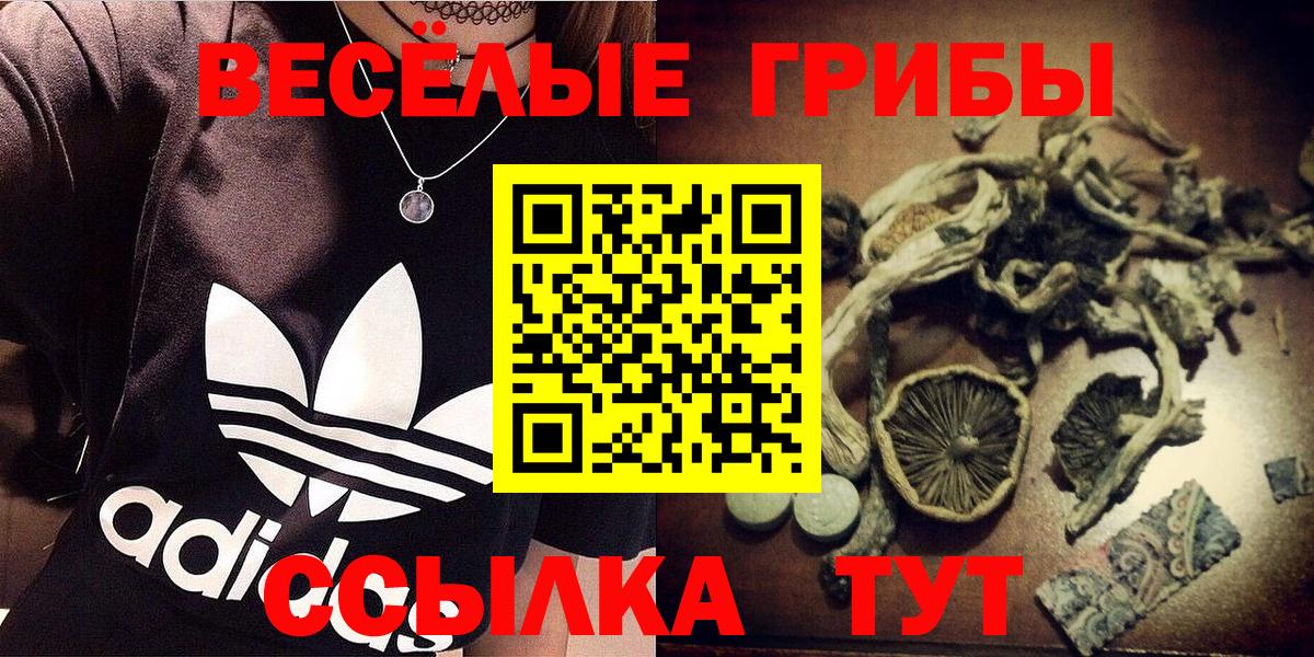 Псилоцибиновые грибы MAGIC MUSHROOMS Фрязино