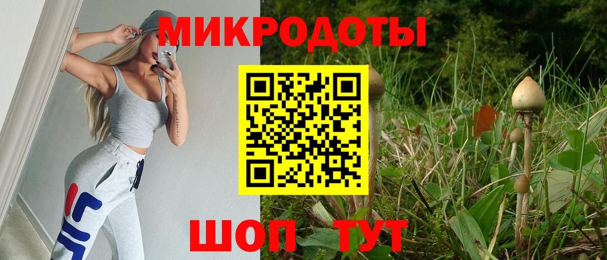 Галлюциногенные грибы Psilocybine cubensis  Вход с VPN  Псилоцибиновые грибы GOLDEN TEACHER  Фрязино 
