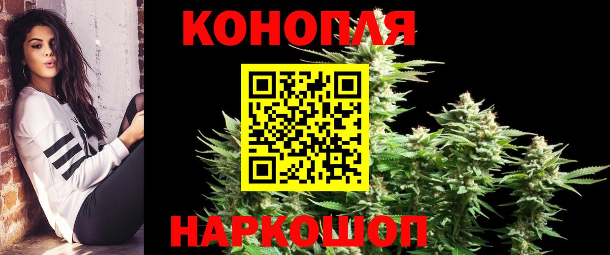 Шишки марихуана конопля  МАРИХУАНА марихуана  Фрязино  Вход с VPN 